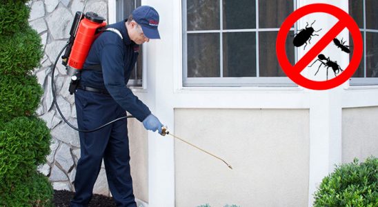Savaştepe Bit İlaçlama böcek ilaçlama ve haşere kontrolü — ilaclama-tr.com